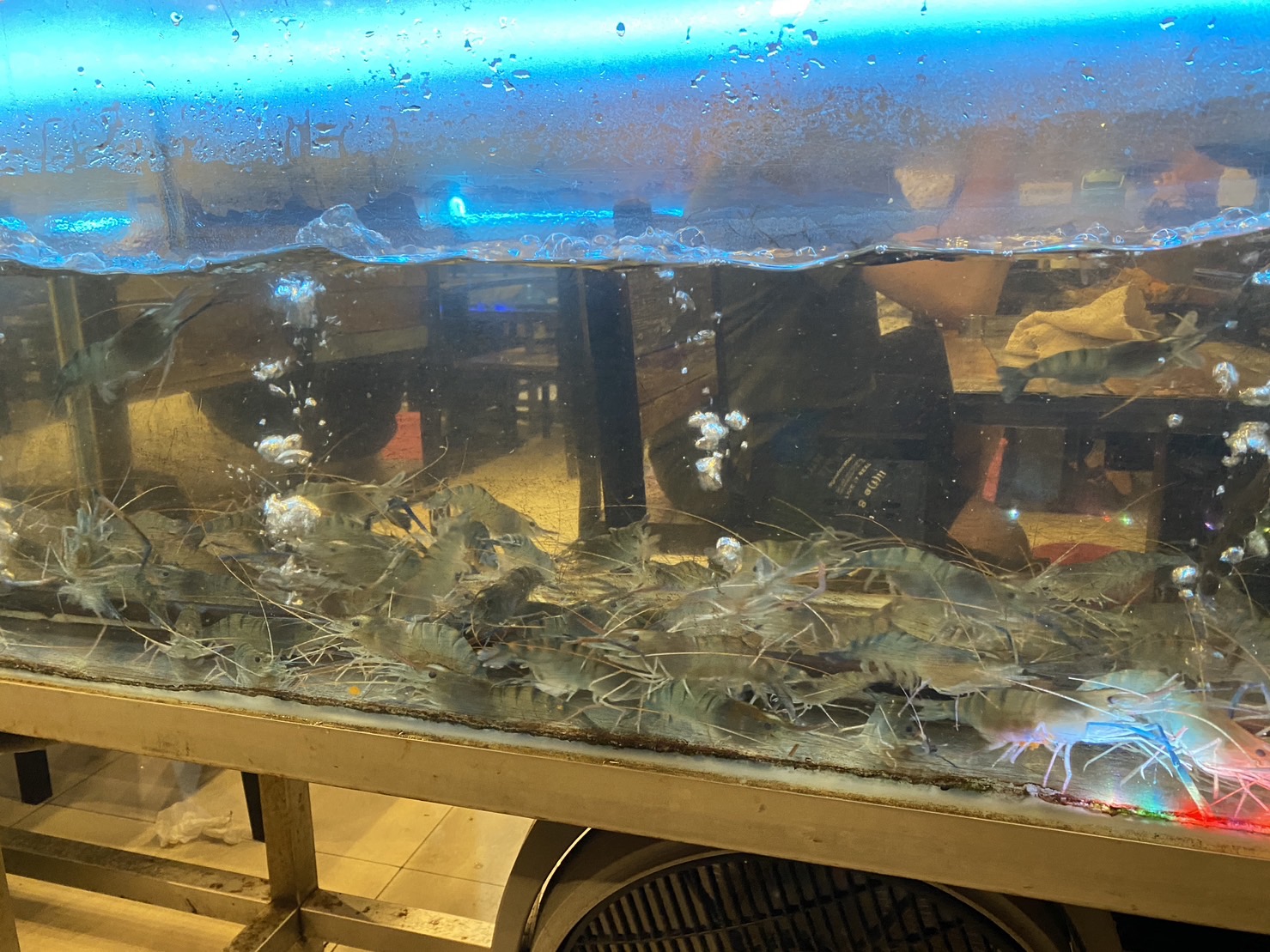 泰蝦樂水道泰國蝦吃到飽